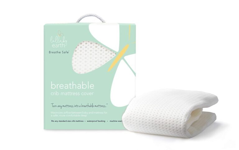 71k0LIOg1aL. SL1500 Bambino Guide