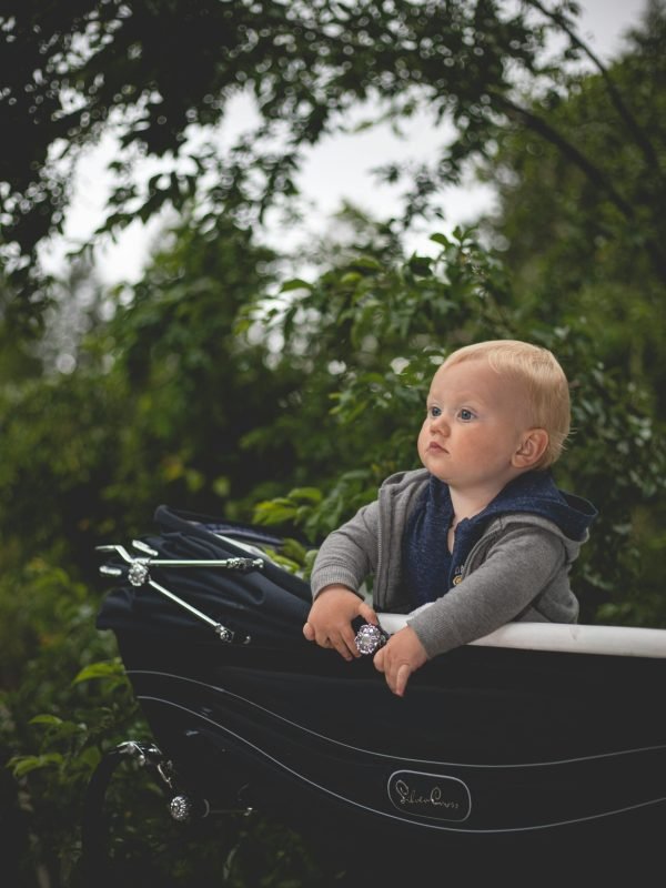 pexels-natasha-babenko-946856-2466839